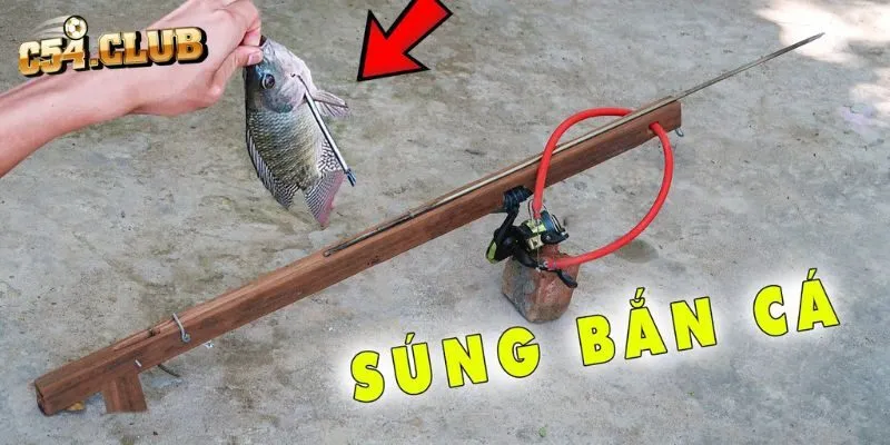 Một số lưu ý khi sử dụng súng bắn cá mà ít ai biết