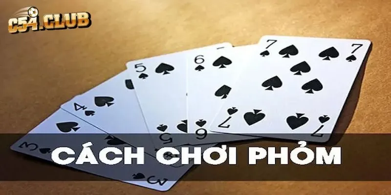 Học Cách Chơi Phỏm Hay Cho Người Mới Nhập Môn