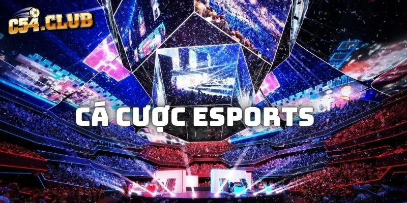Cá Cược Esports - Loại Hình Giải Trí Được Yêu Thích Hàng Đầu