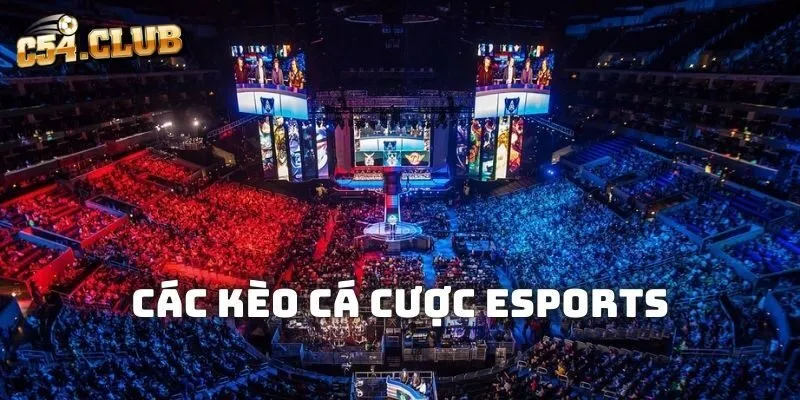 Các trò chơi tại sảnh cá cược Esports