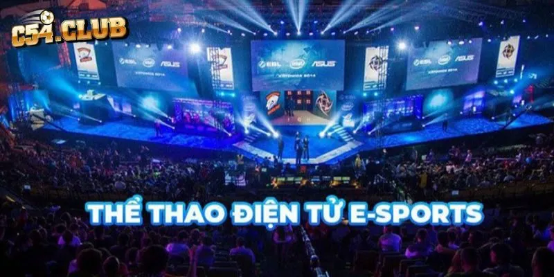 Cá cược Esports là gì?